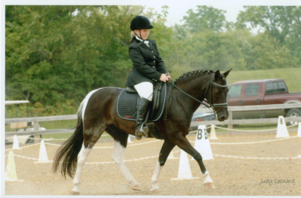 Fox Den Farm USA, LLC Making Solid Foundations For Horses and Riders