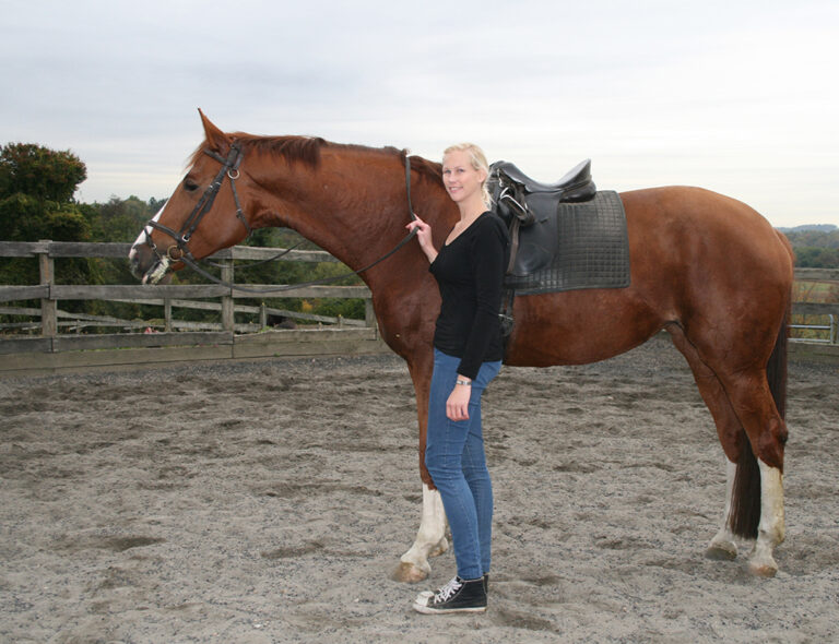 Boarding Details Fox Den Farm USA, LLC